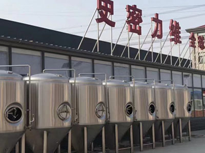 镇康精酿啤酒设备厂—如何判断精酿啤酒设备的密封件需要更换？